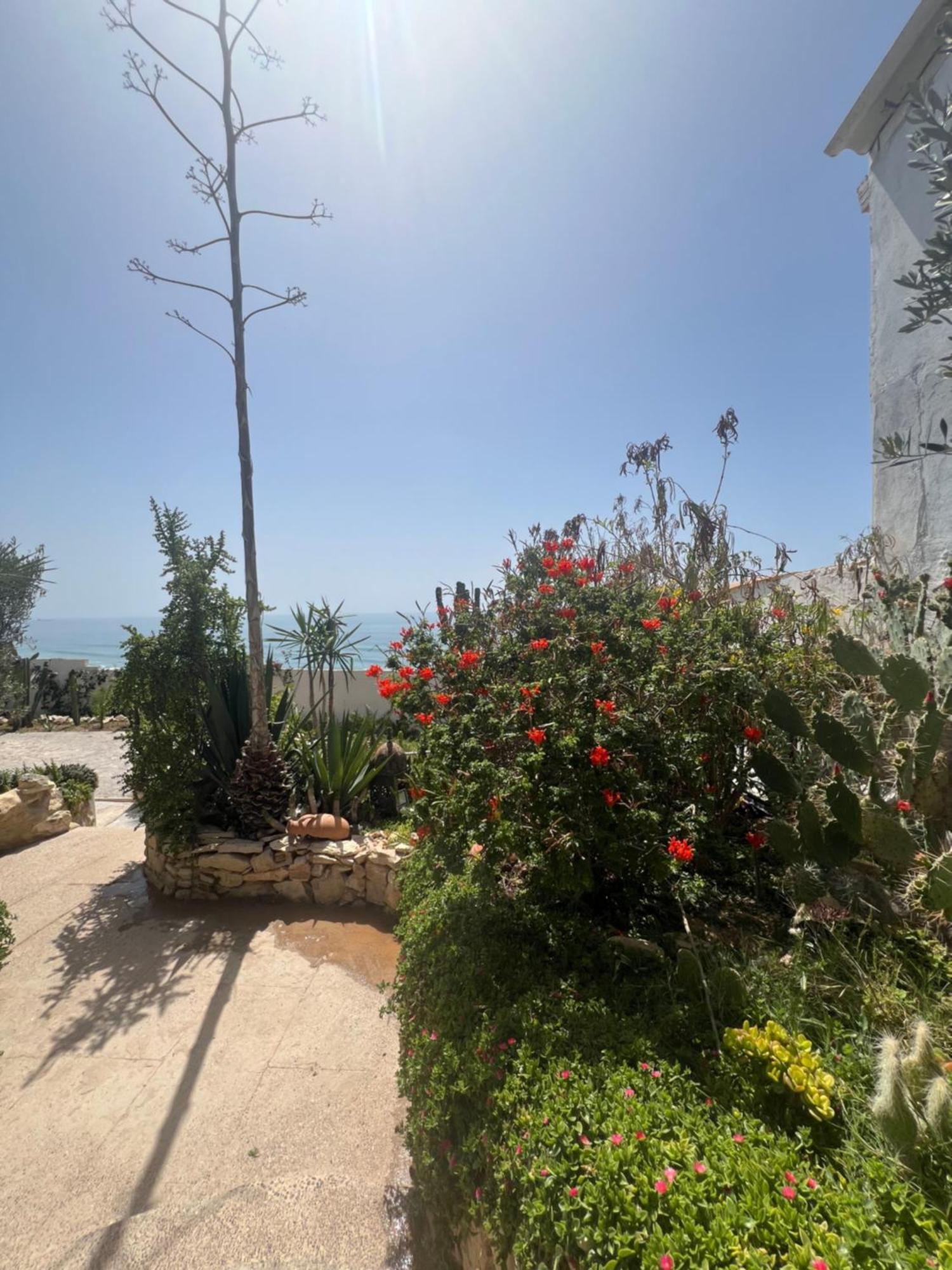 Villa Jardin De L'Ocean โอรีร์ ภายนอก รูปภาพ