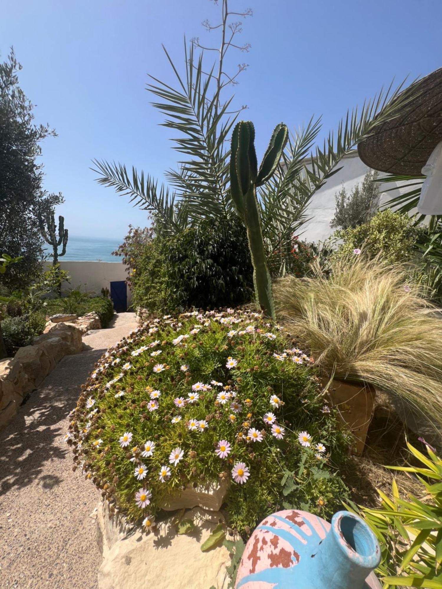 Villa Jardin De L'Ocean โอรีร์ ภายนอก รูปภาพ