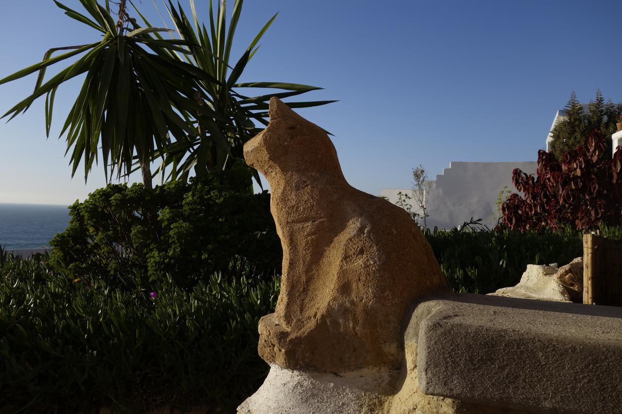 Villa Jardin De L'Ocean โอรีร์ ภายนอก รูปภาพ