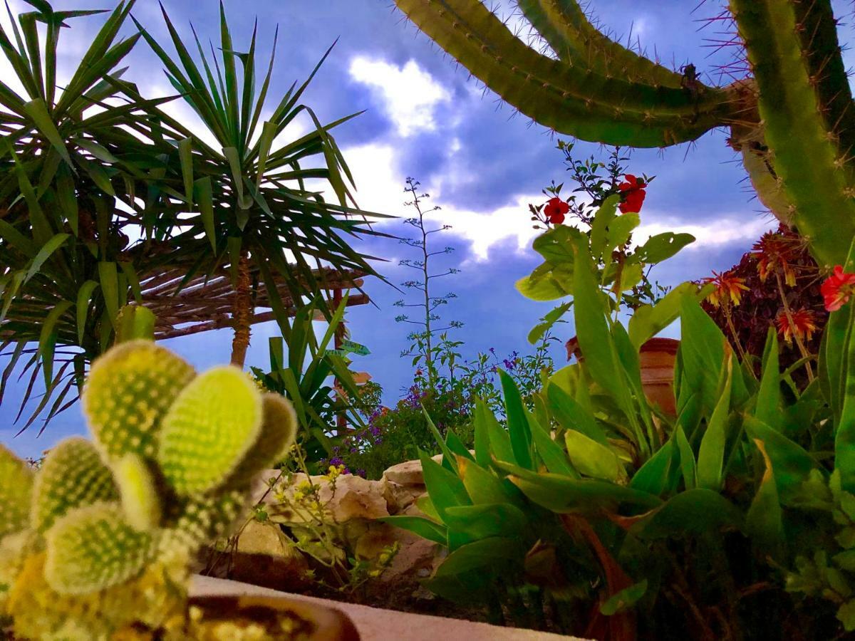 Villa Jardin De L'Ocean โอรีร์ ภายนอก รูปภาพ